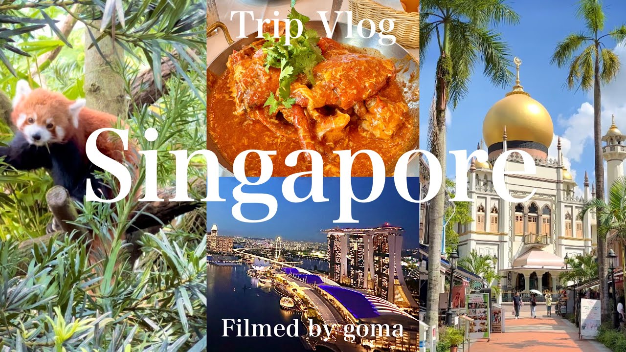 シンガポールvlog｜食べたい行きたい買いたいを凝縮した充実の4,5日目🦀絶景レストラン/ミシュラン獲得屋台飯/アラブストリート/リトルインディア/チャイナタウン/リバーワンダーズ