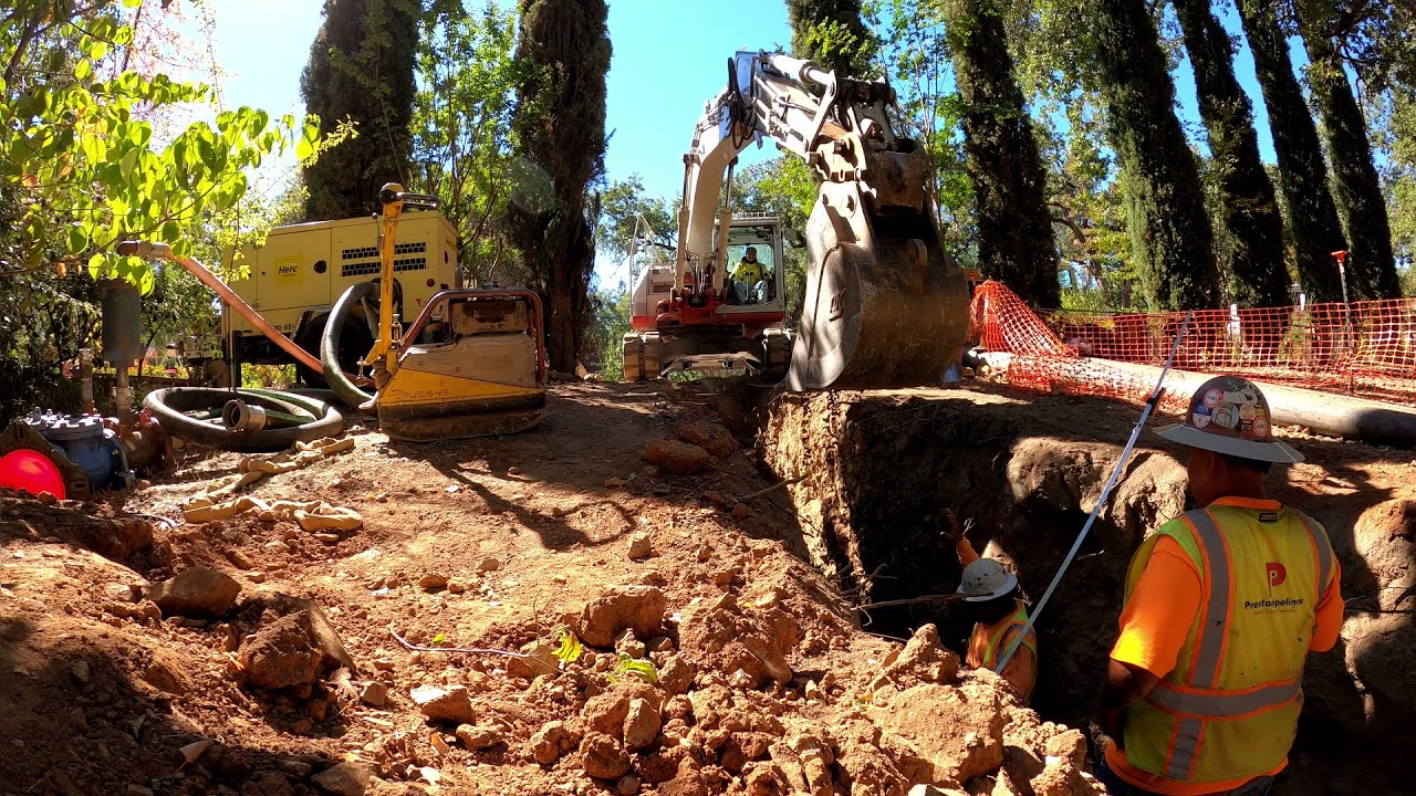Digging around pipe and between trees.