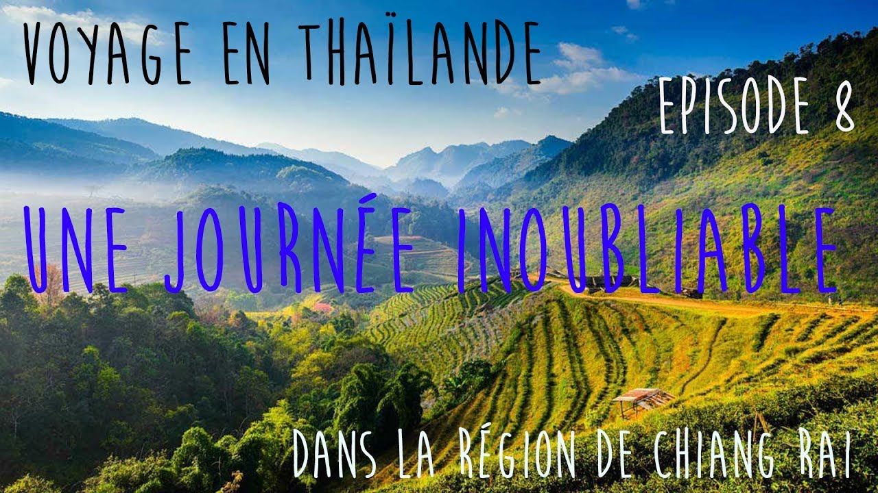 Voyage en Thailande 2018 - Episode 8 - Une journée inoubliable au Elephant steps Chiang Rai.