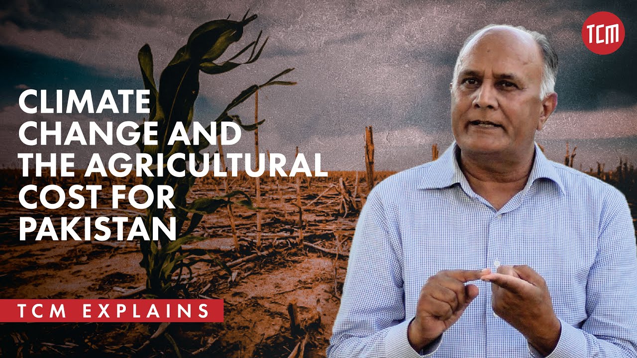 How is Climate Change Affecting Pakistan’s Agricultural Produce?