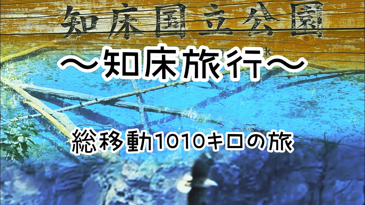 【旅行blog】知床/羅臼/帯広の2泊3日-総移動1010キロの旅