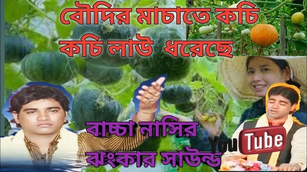 বৌদির মাচাতে কচি কচি লাউ  ধরেছে ❤️‍🔥💔♥️🔥ও বাচ্চা নাসির ঝংকার সাউন্ডqawwali nashik jhankar mein