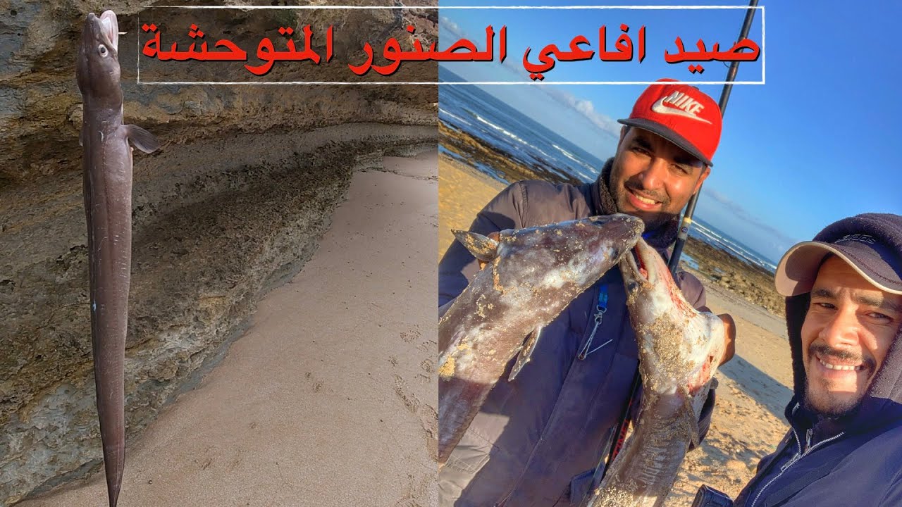 رحلة لصيد افاعي البحر المتوحشة ( اسماك الصنور) في مصيد سهب الحرشة جنوب المغرب - Eel Fishing