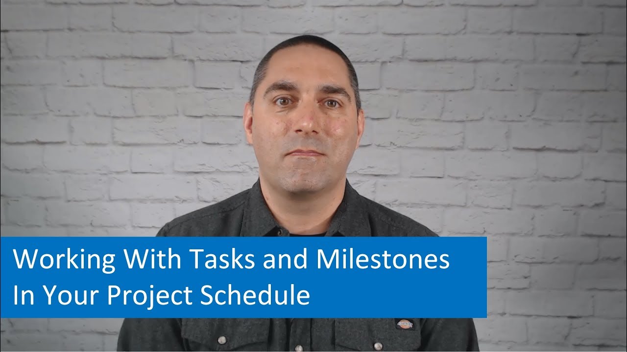 Project Management Tips: Working With Tasks and Milestones In Your Project Schedule