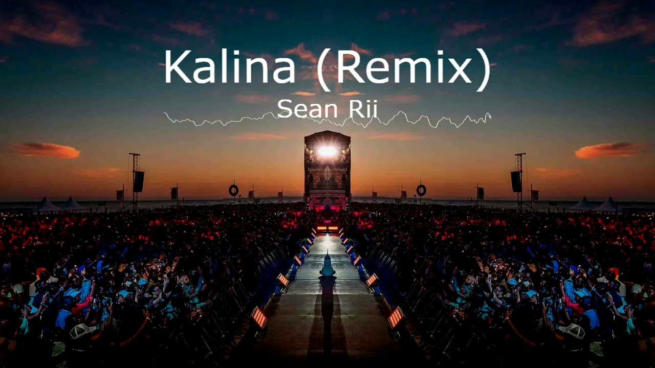 Sean Rii - Kalina (Sandrø Afrohouse Remix)