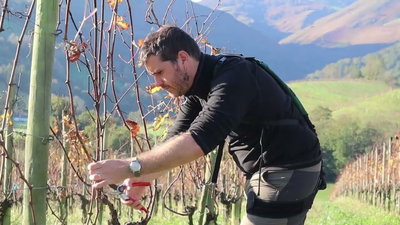 Exosquelette BISKO pour les vignerons
