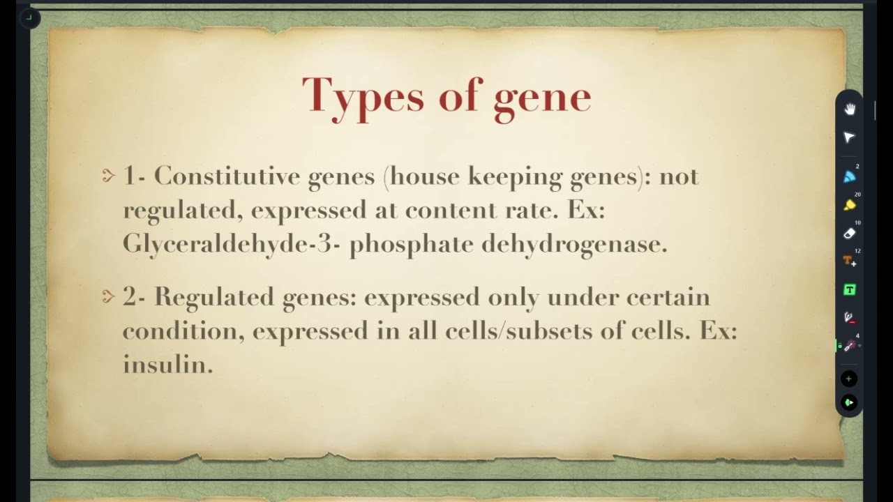 Gene Expression