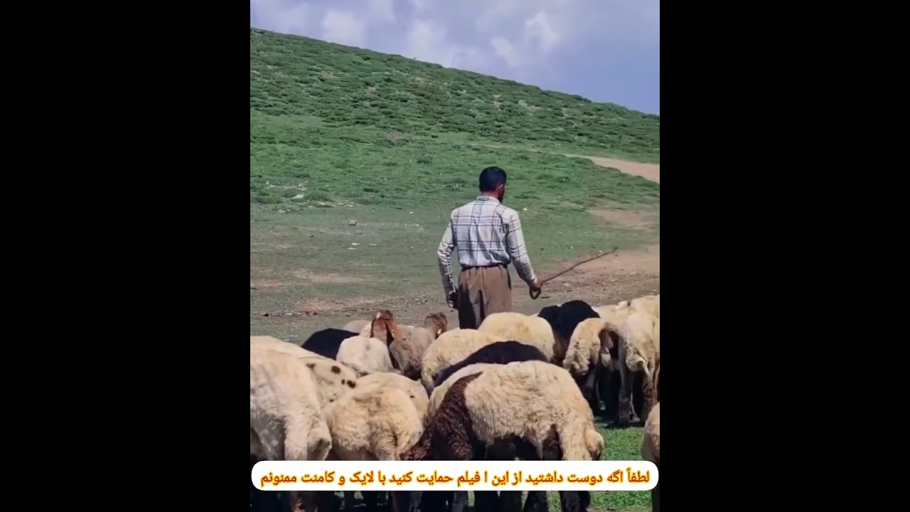 این فیلم از روستا گرفته شده خیلی زیبا از منظره‌های سرسبز و بهاری وضع عشایر خوب ایران زمین این 🌿🌿🌴🌳