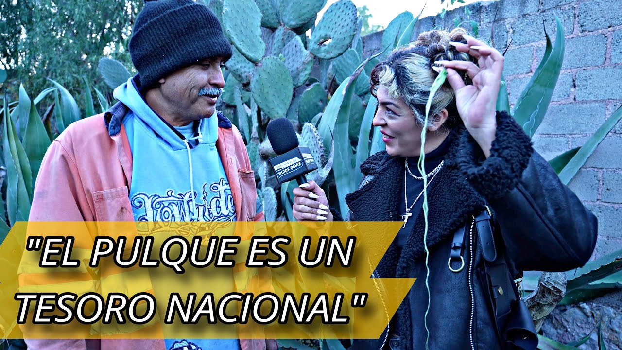 ASI SE VIVE de HACER PULQUE y AGUAMIEL ARTESANAL - Ruido Social