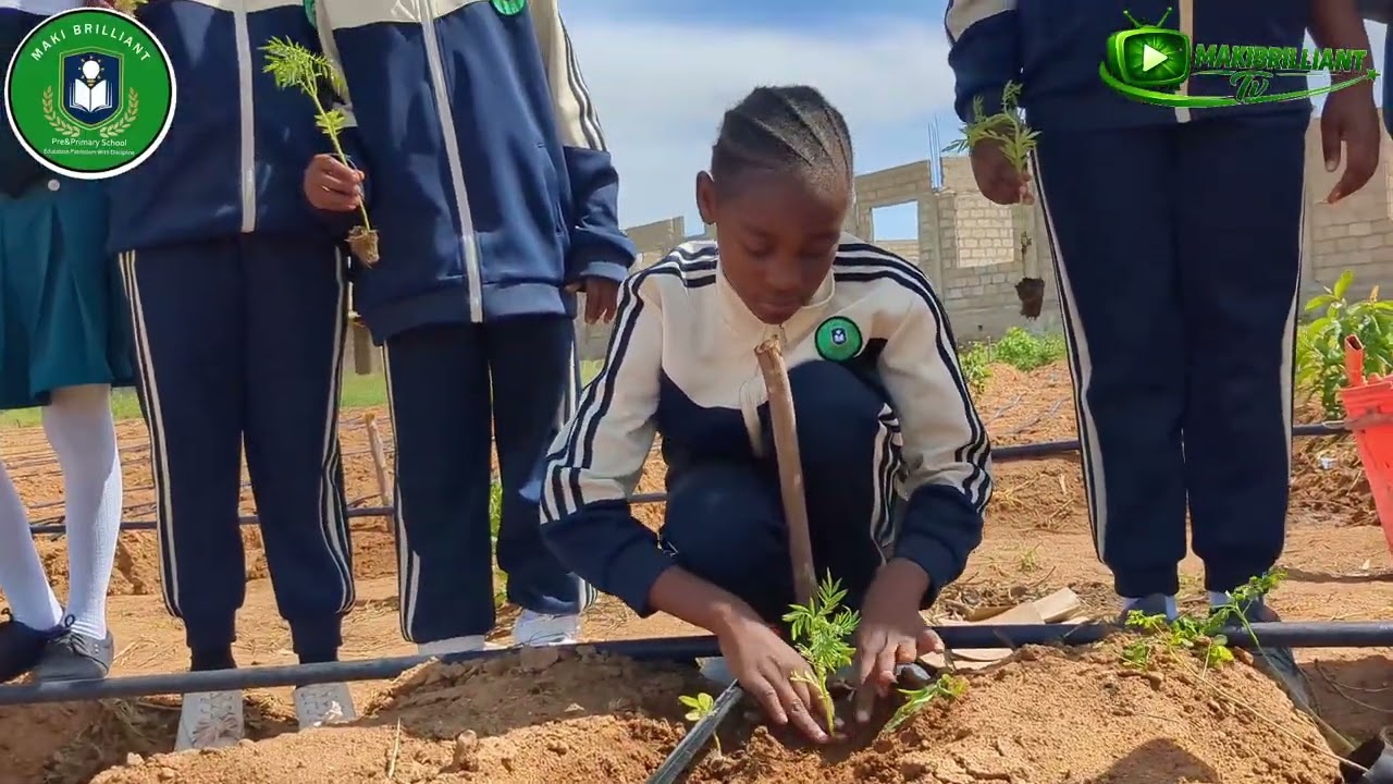 Pupils learn about Planting Marigold 🌼🌱 ,#makibrilliantschool #school #plant