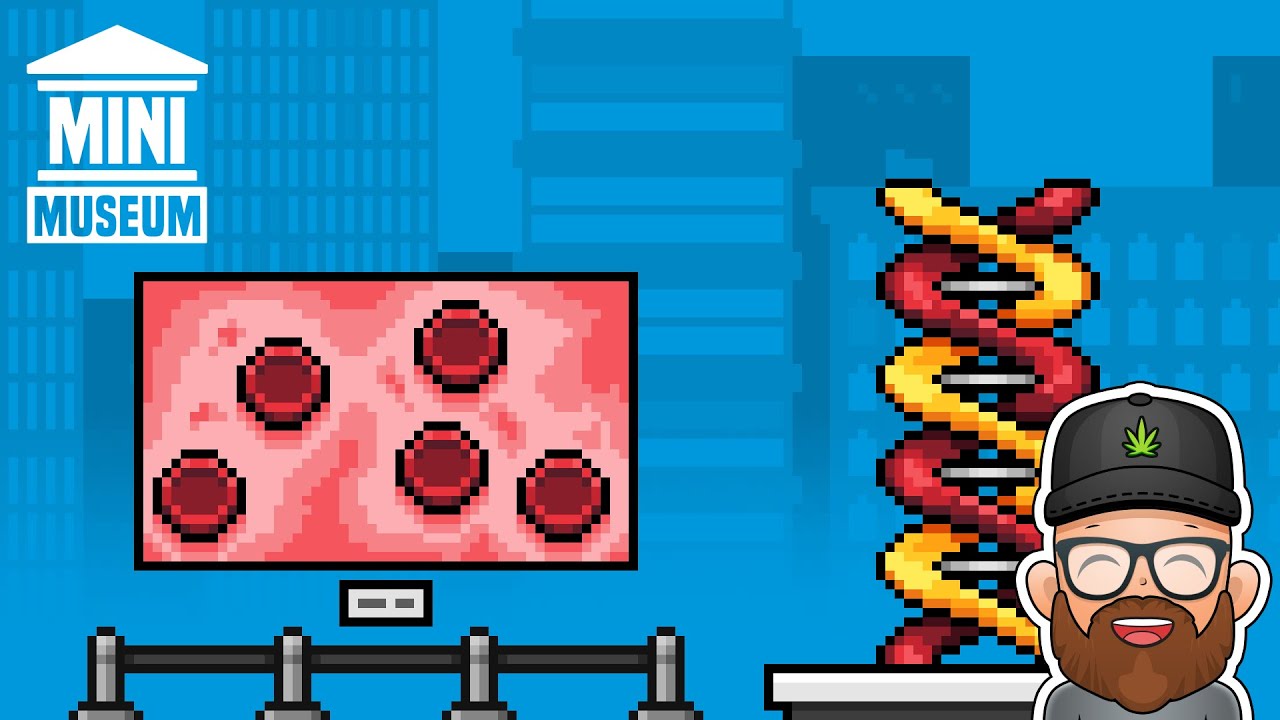 Game Dev + Pixel Art - Making a cozy simulation game about building and managing your own museum