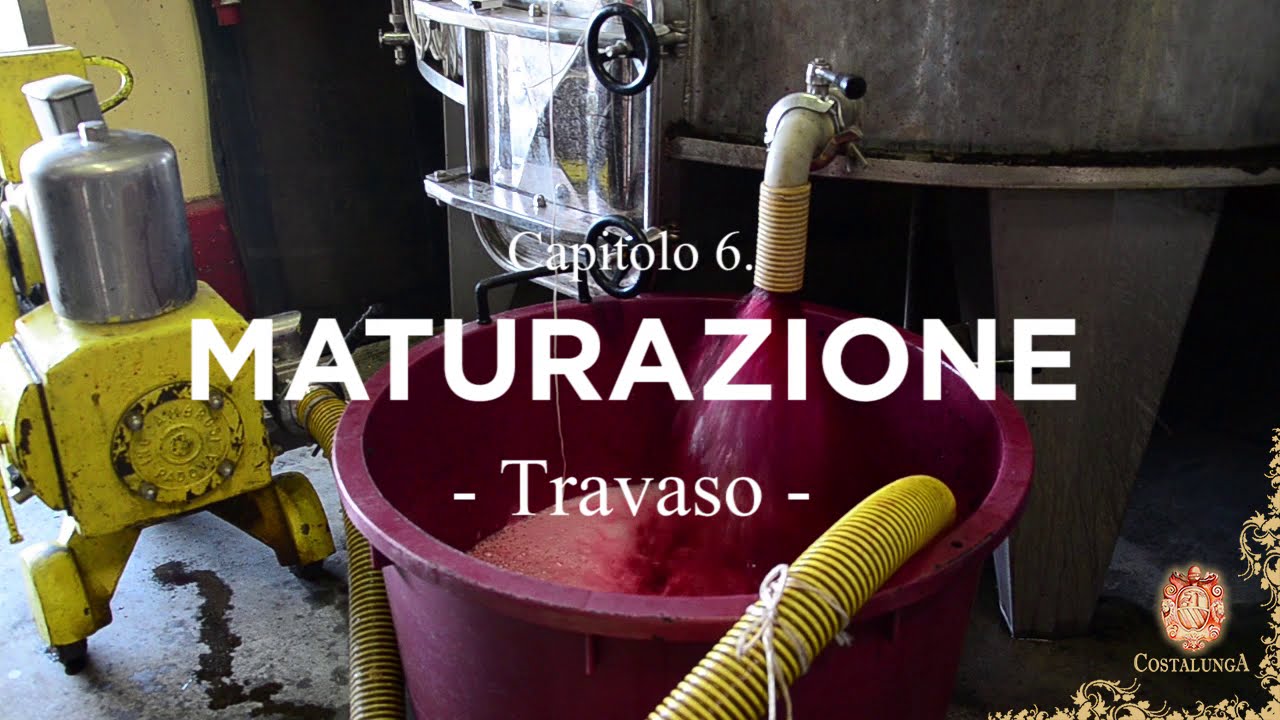 06 MATURAZIONE | Fermentazione tumultuosa, travaso, feccia, bâtonnage e filtro tangenziale
