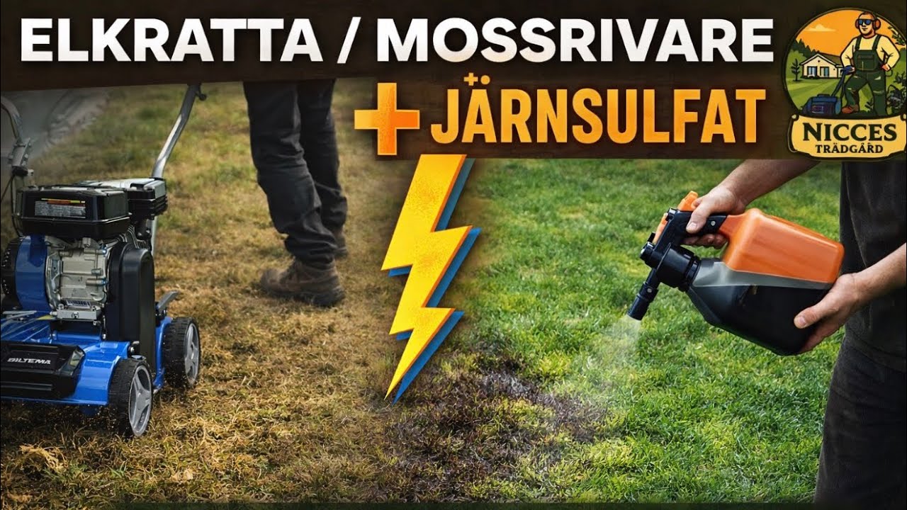 Elkratta/ Mossrivare & Järnsulfat