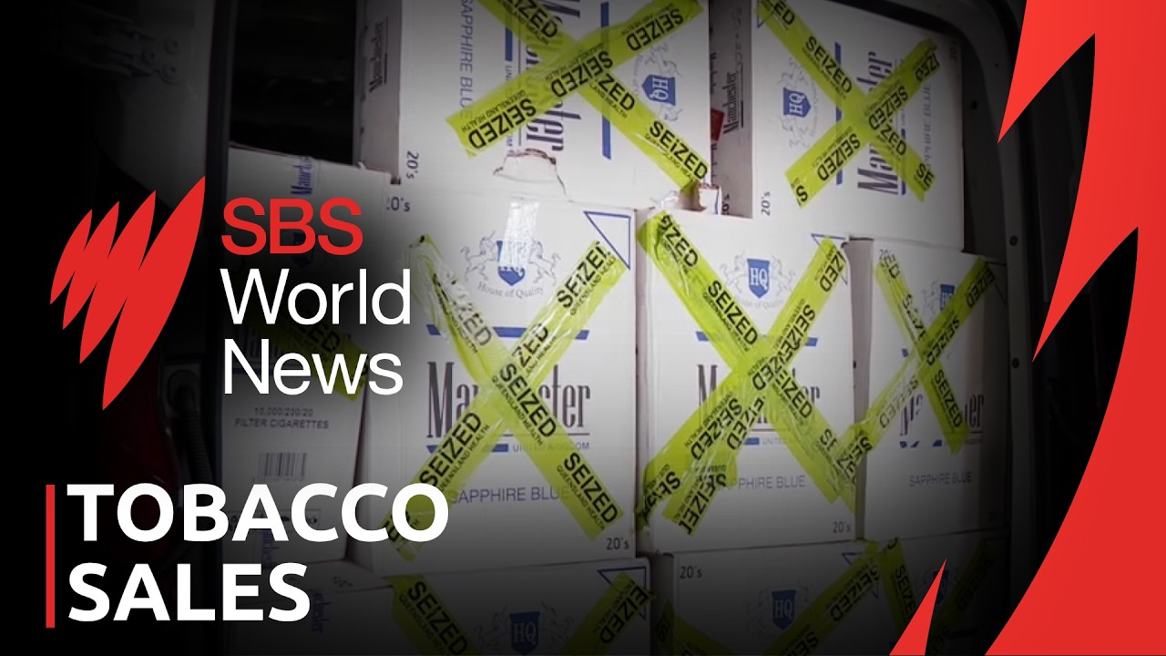 Legal tobacco sales spike after Queensland crackdown