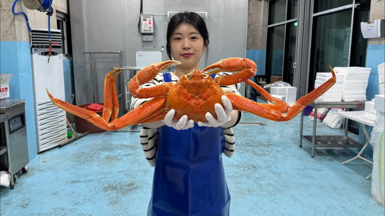 지금 제철! 박달대게 1마리 2만원대
