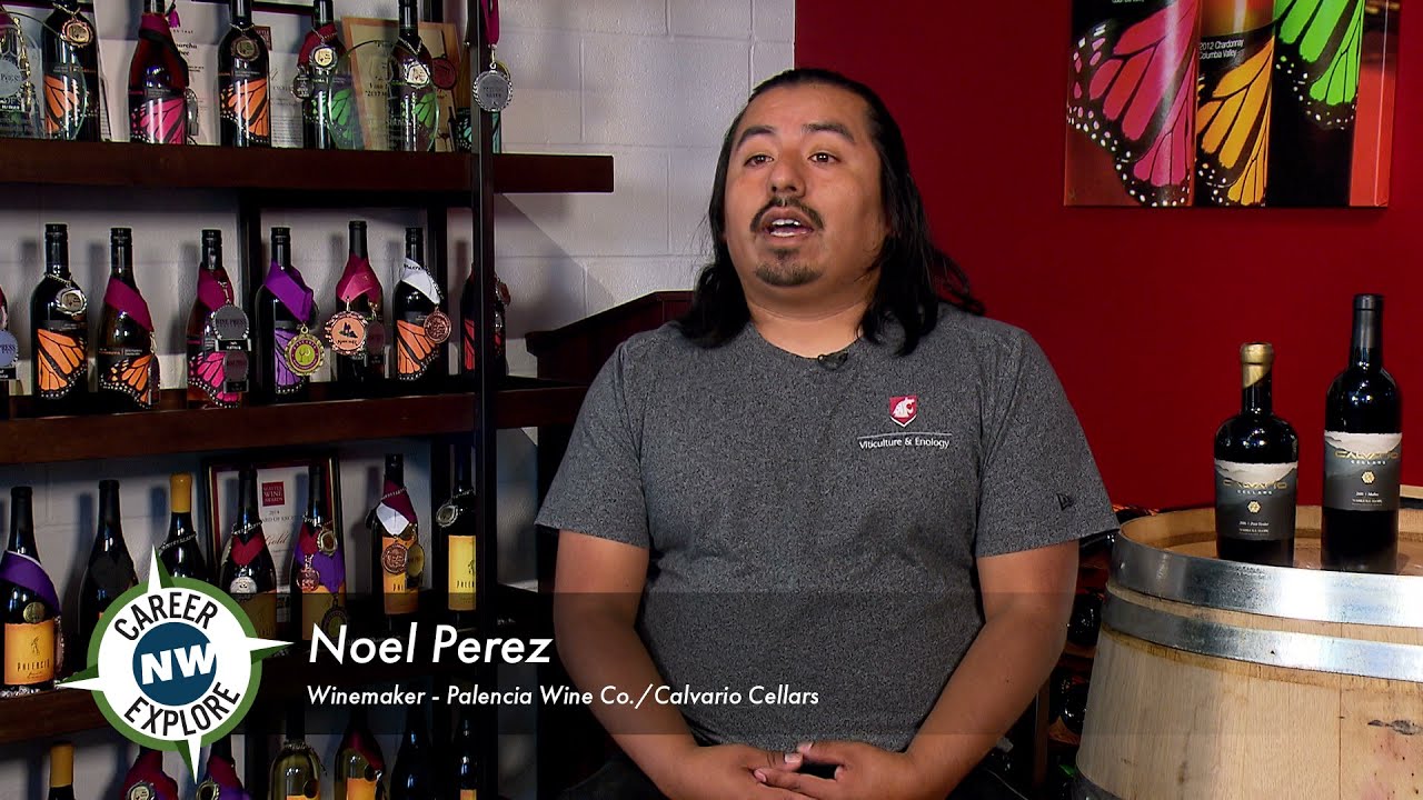 Career Explore NW - Winemaker - Palencia Wine Company