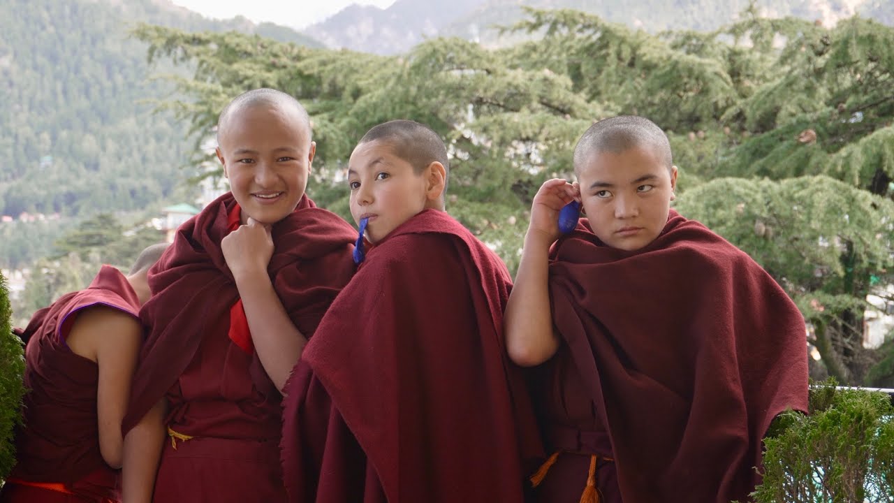 Dharamsala’s Spiritual Crossroads 🇮🇳 Tibetan Buddhism and New Age Spirituality