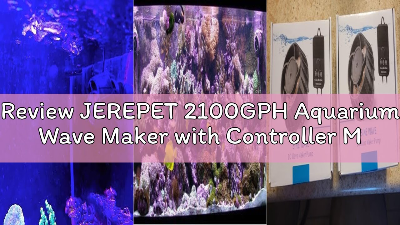Review JEREPET 2100GPH Aquarium Wave Maker with Controller Mini DC 24V 12W Powerhead with Magnetic M