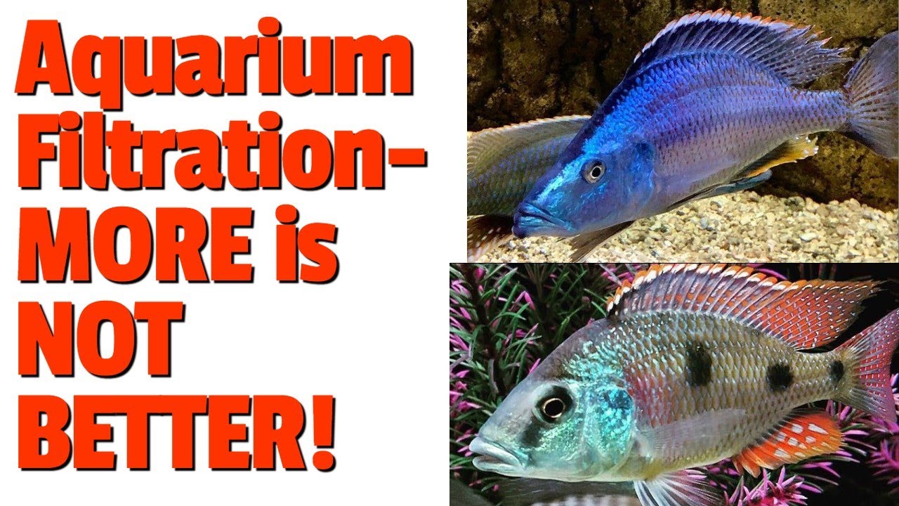 Aquarium Filter Tips, Tricks, Hacks, Lies and What I Love & Hate about HOBs, Sumps and Canisters!