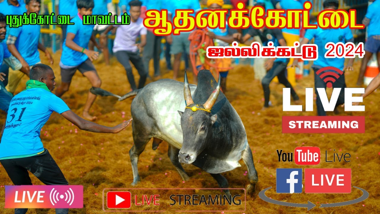 🔴LIVE : ஆதனக்கோட்டை  ஜல்லிக்கட்டு 2024 | Aadanakkottai  Jallikattu  2024 Live