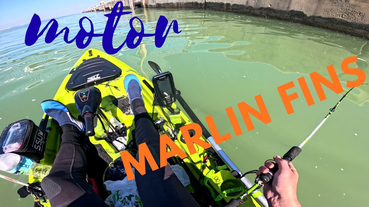 Estreno motor vaya pasada!! y record de especie🤣