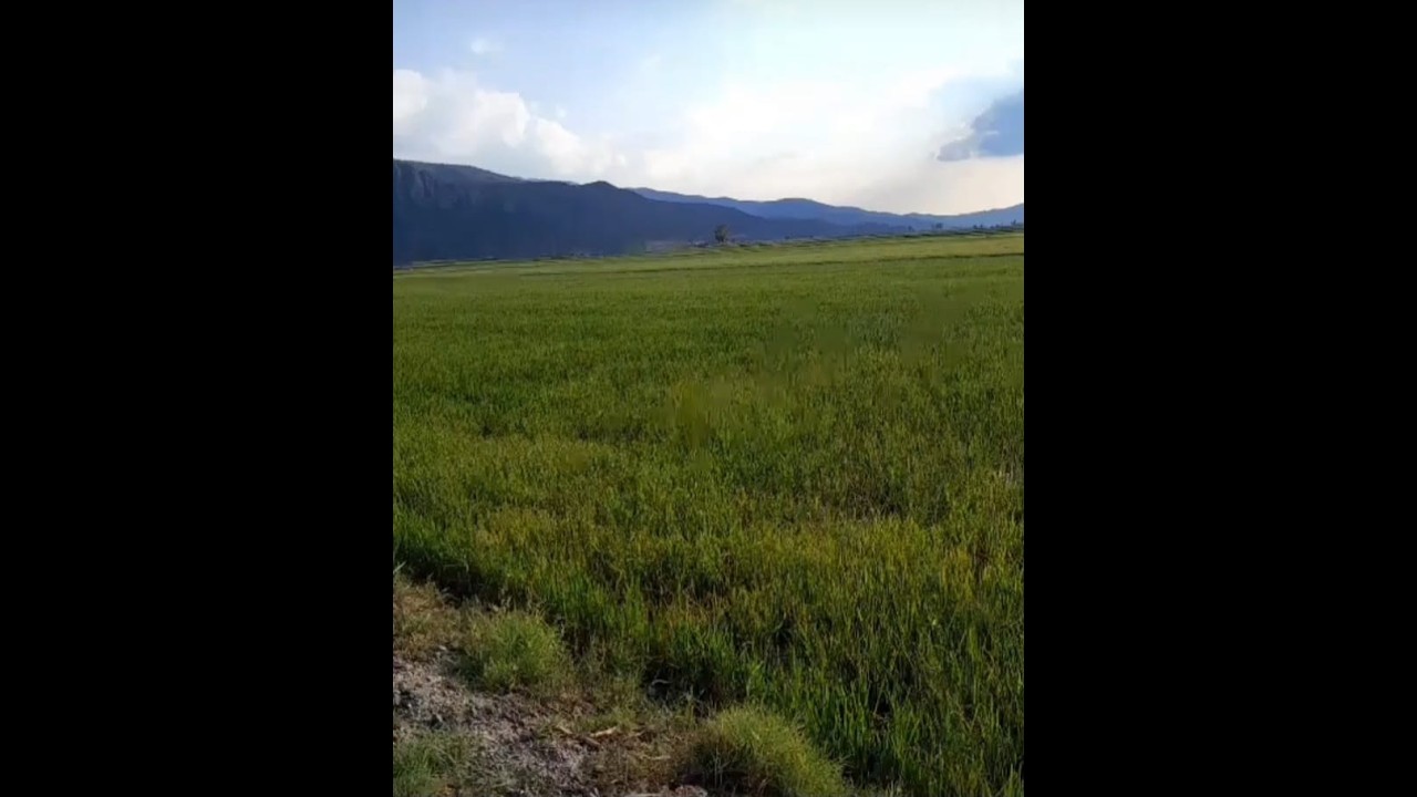 Sizin de işleriniz bazen böyle ters gider mi?