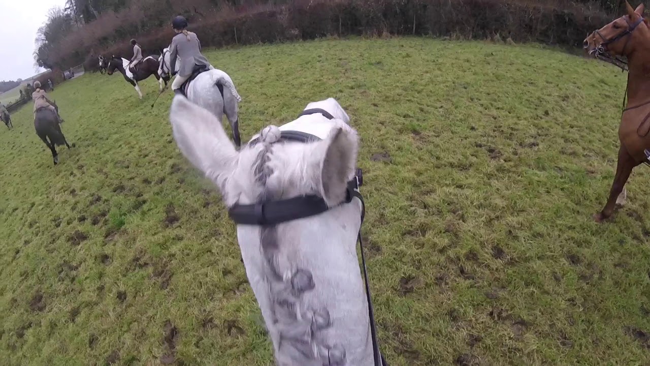 Portman Hunt 23/12/17