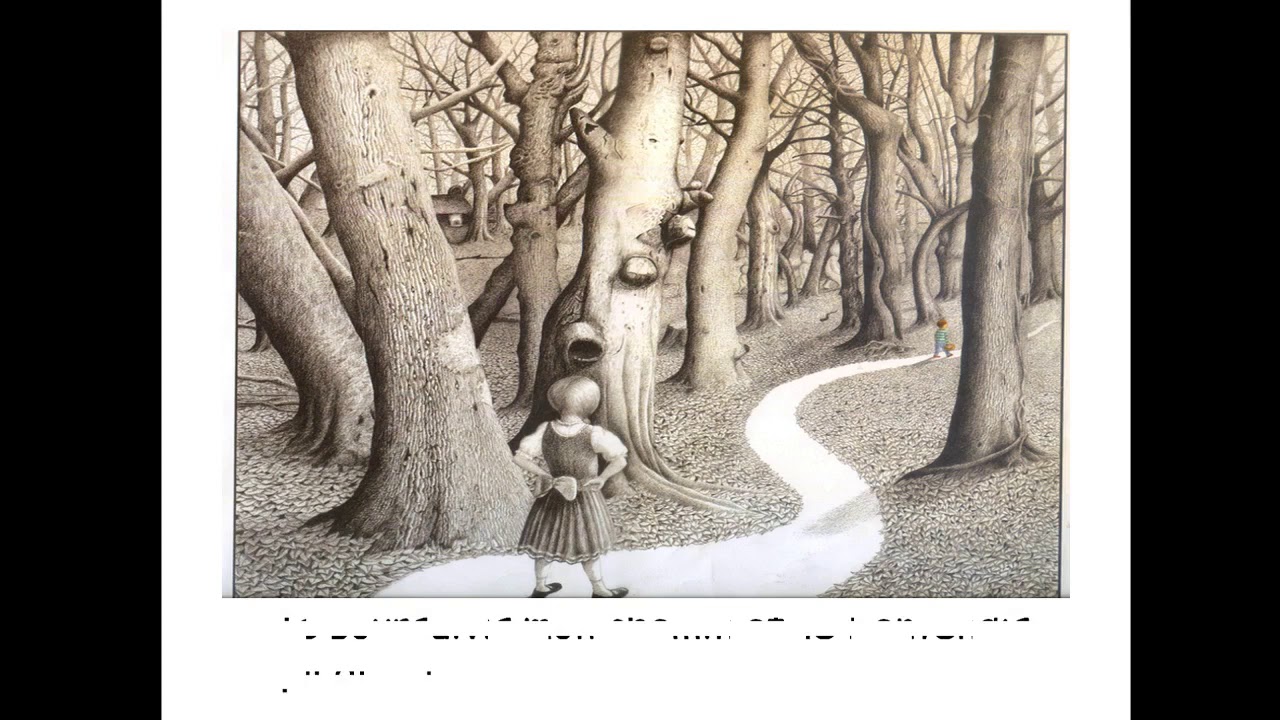 Dans la foret profonde : Anthony Browne