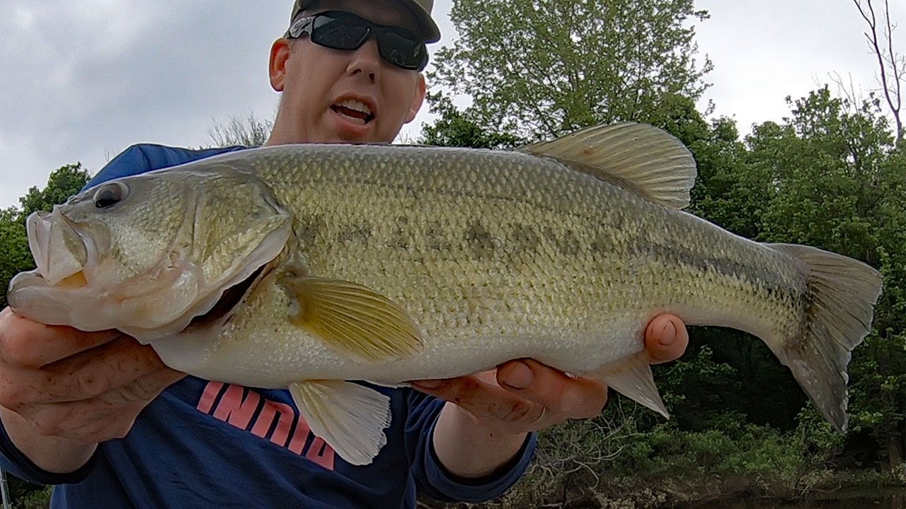 Fishing for Bass with Bluegill - Catching Bass with Live Bait