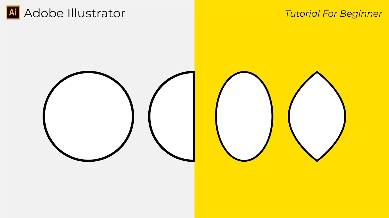 Easy How to Use Ellipse Tool and Modify - Adobe Illustrator Tutorial