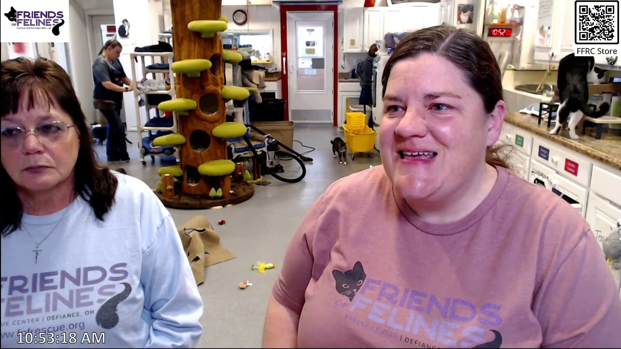 Q&A and Updates 02-27-2026  Friends of Felines Rescue Center (FFRC)