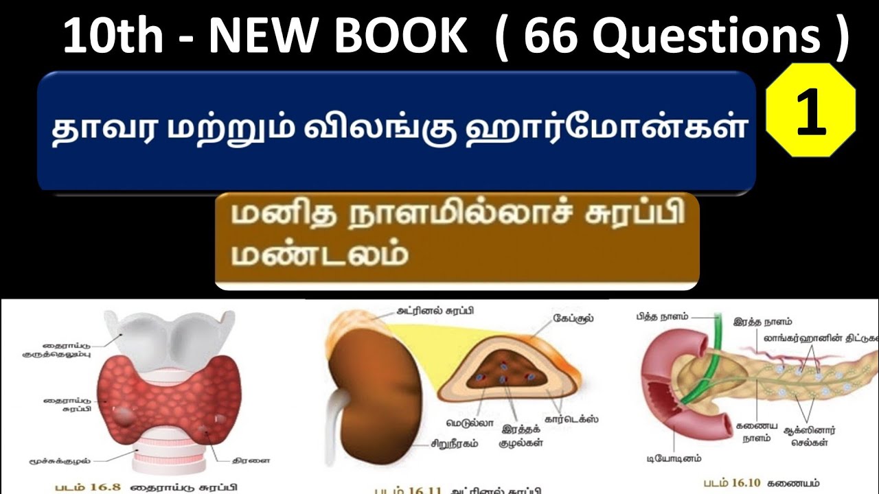 நாளமில்லா சுரப்பி மண்டலம் | 10th New book | Part - 1 ( 30 Questions )