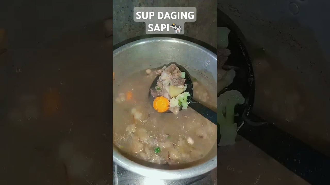 #food #masakapaharini #masakdaging #souprecipe #supsayur #masakdihutan #masakanrumahan #masakdikebun