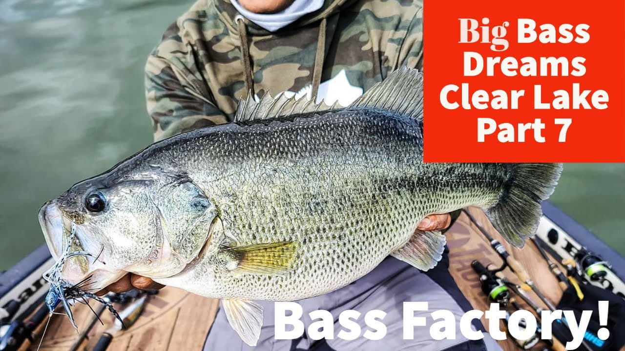 Fishing on the Bass Factory - Big Bass Dreams Clear Lake Part 7