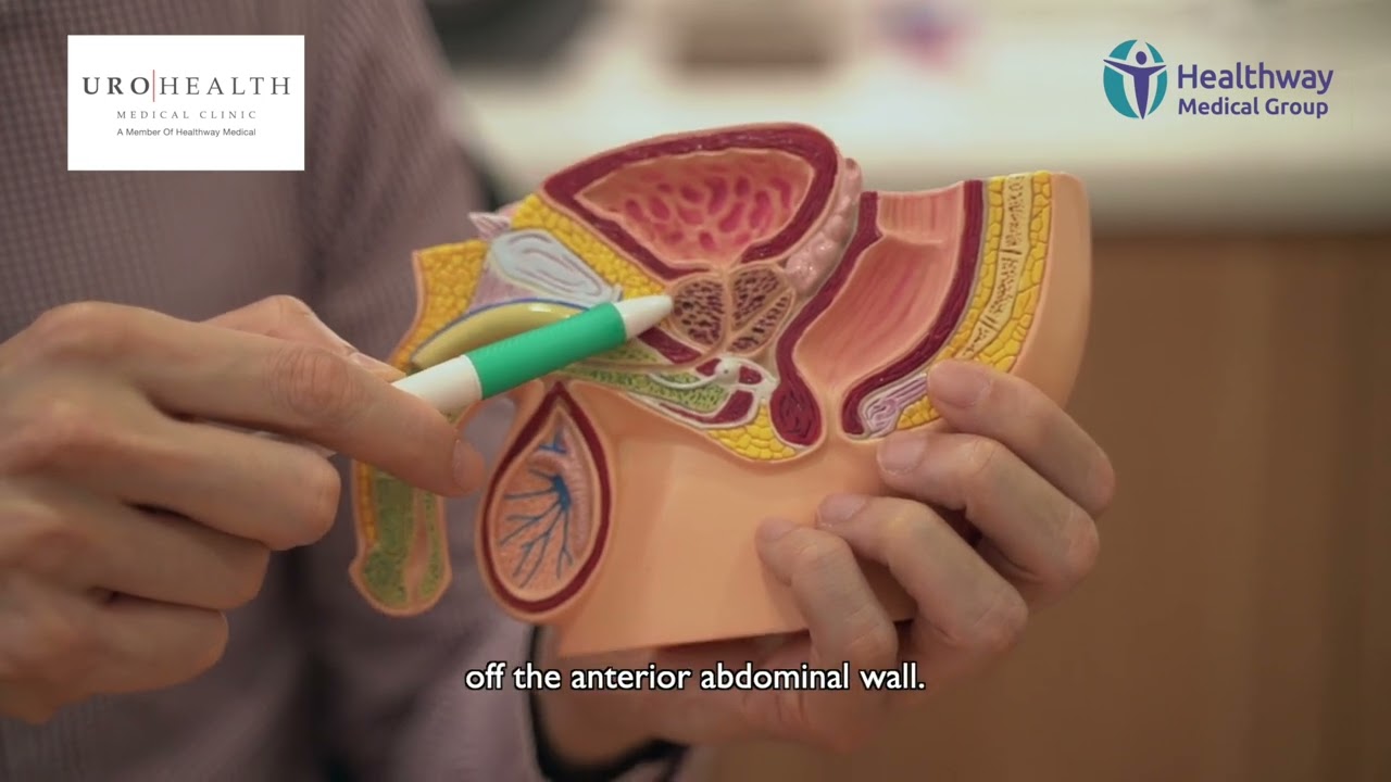 What is a retzius sparing robotic prostatectomy vs conventional robotic prostatectomy?