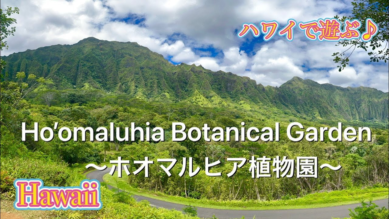 ハワイの大自然を楽しむ！ホオマルヒア植物園　Hawaii Botanical Garden Ho’omaluhia Botanical Garden