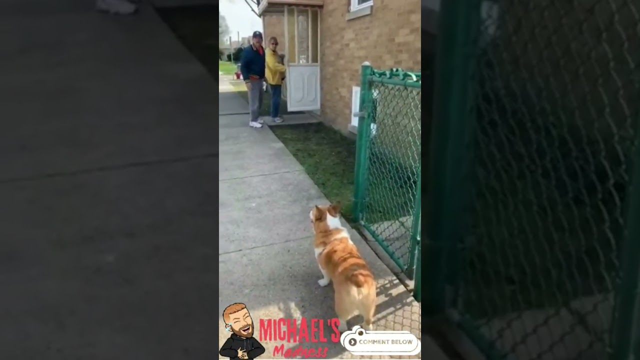 #comedyfunny #failsoftheyear #failcompilation #funnyfails #comedy #failsofthemonth  #funnyvideos
