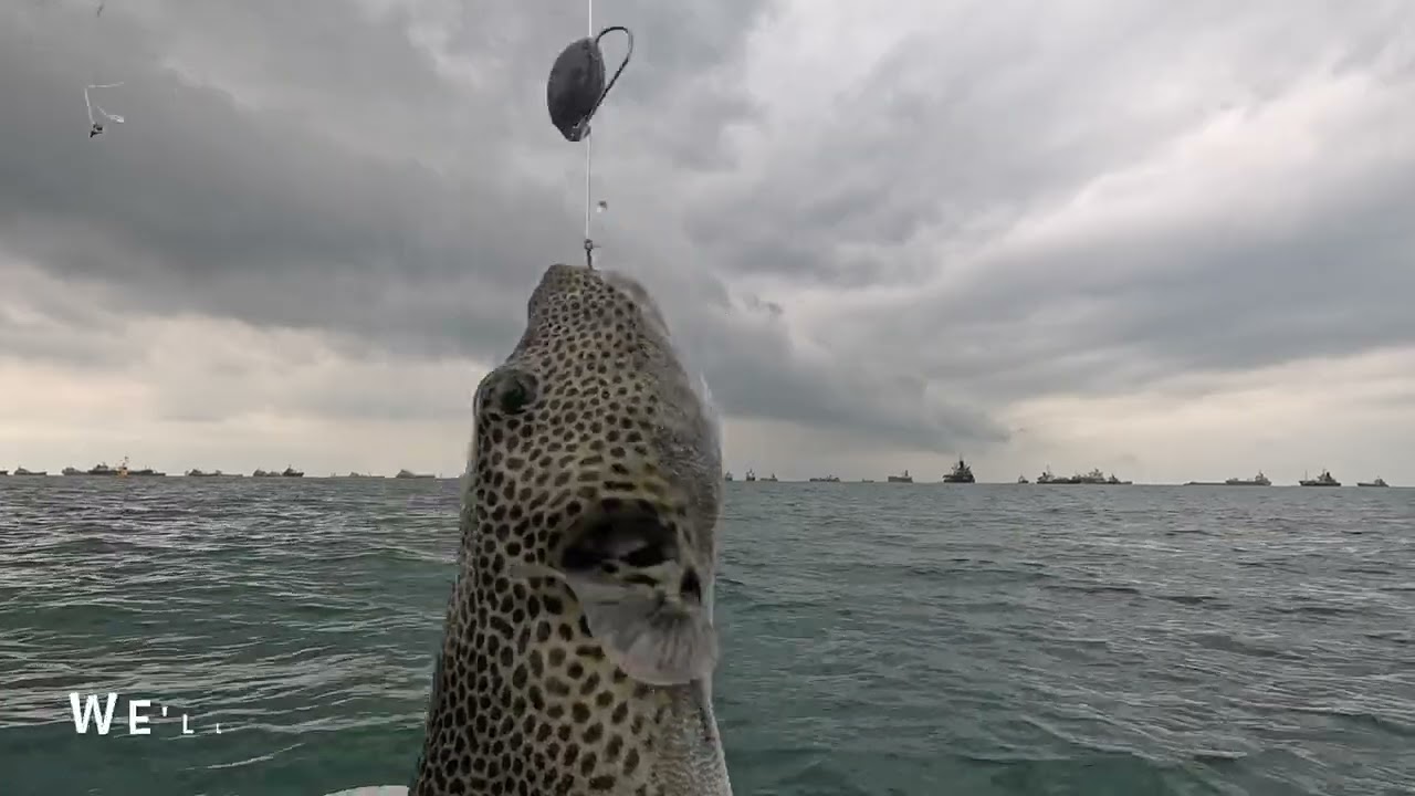EP25: Fish eats free and Super Storm