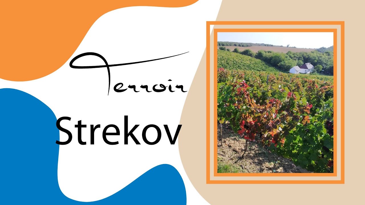 Chatakteristika terroiru Strekov