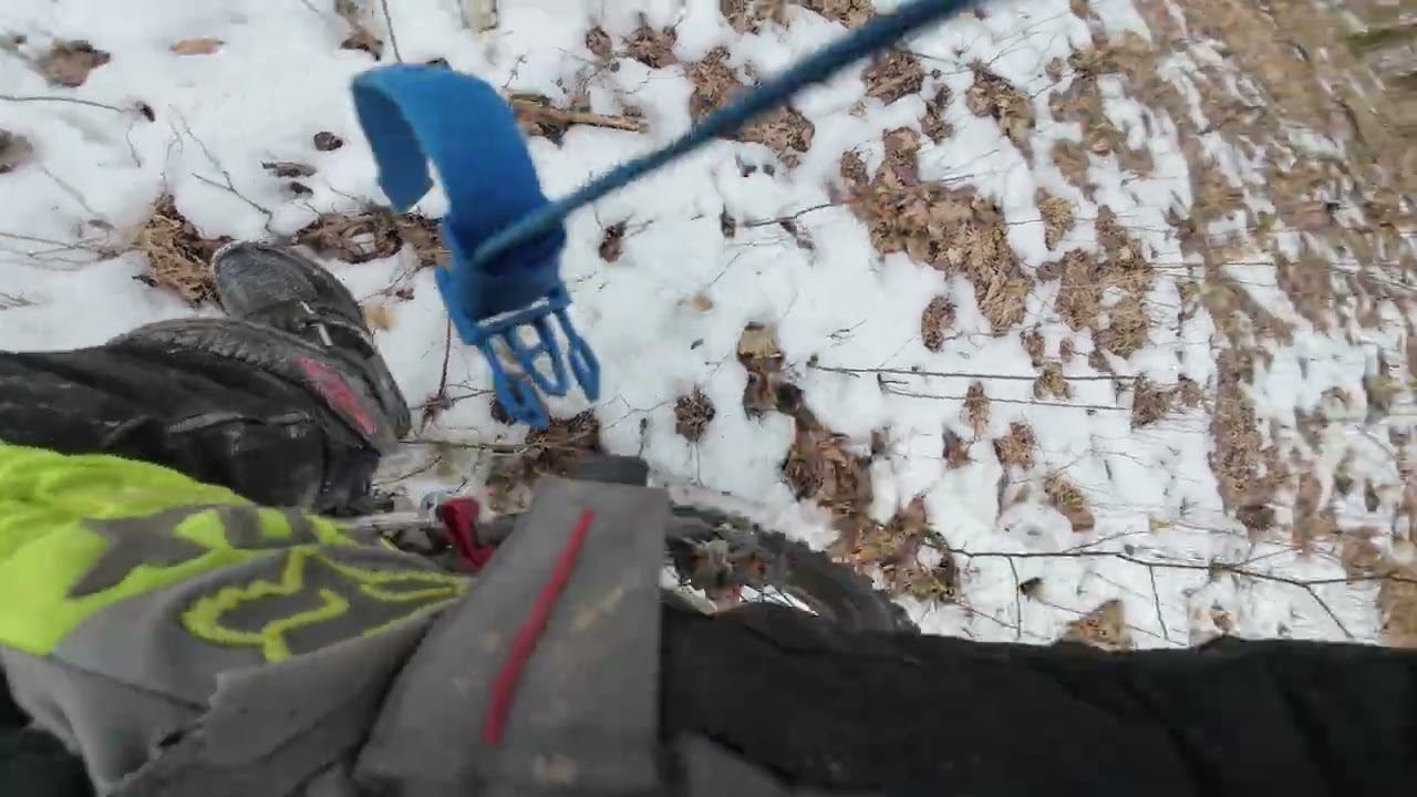 Дорога зимовим лісом