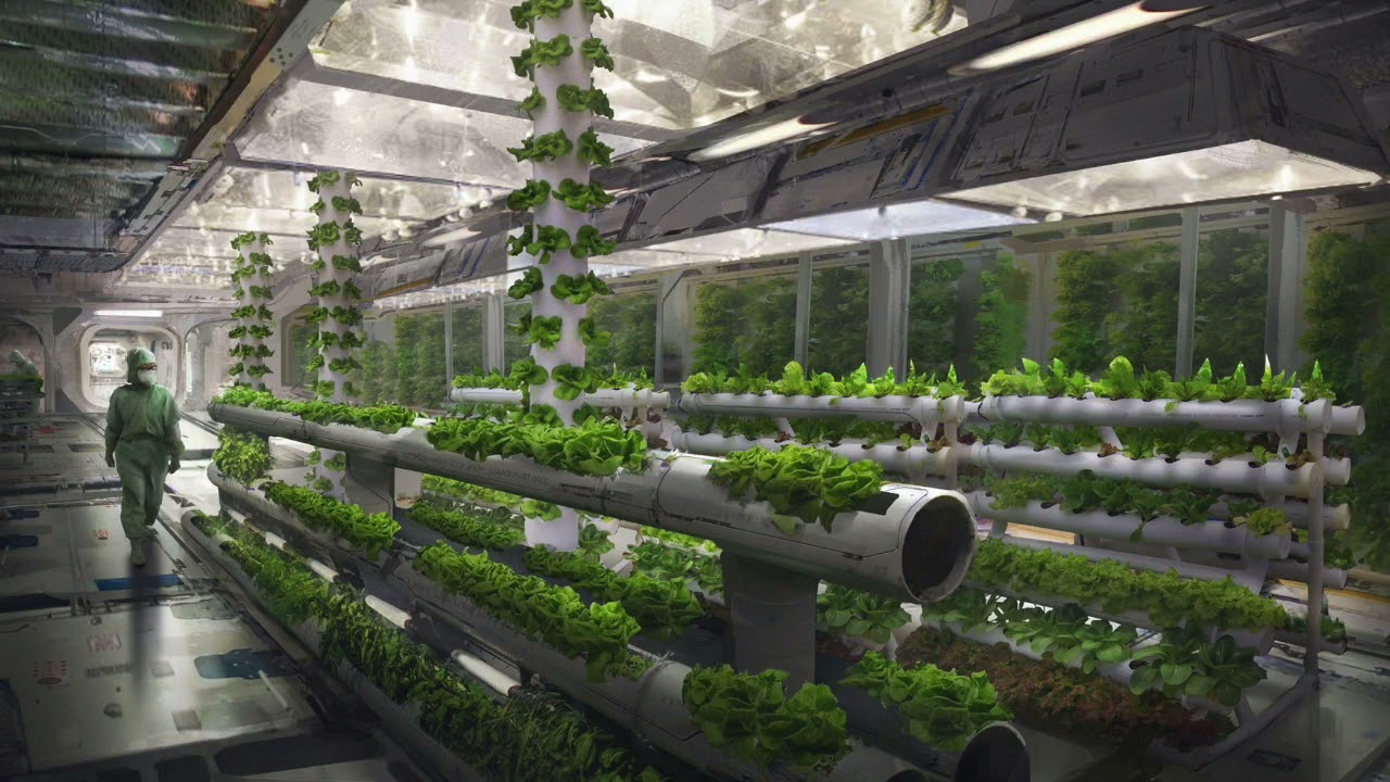 Lunar Hydroponic Culture - Space Ambient Music