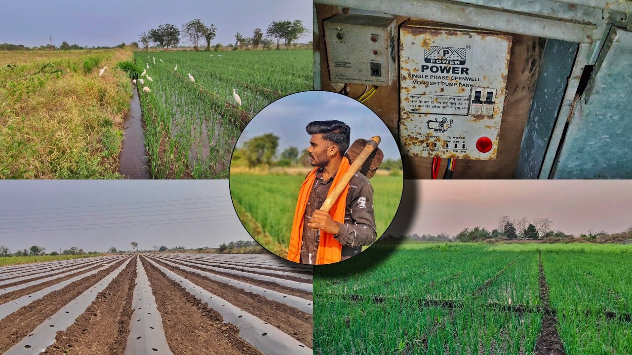 पाणी सोडल्यावर का येतात बगळे 🤔❓ full-vlog@Piyushsawant-vlogs #farmingvlog #marathivlog #pune #op #ps