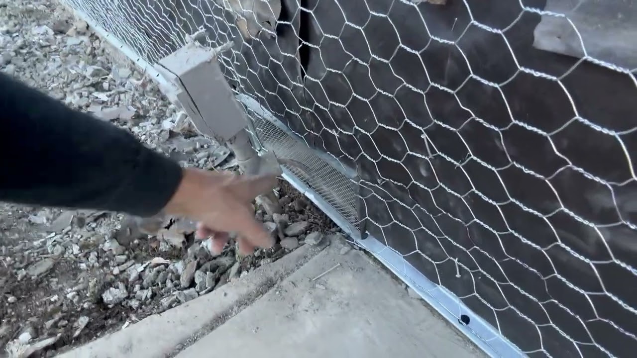 5 марта 2026 г.