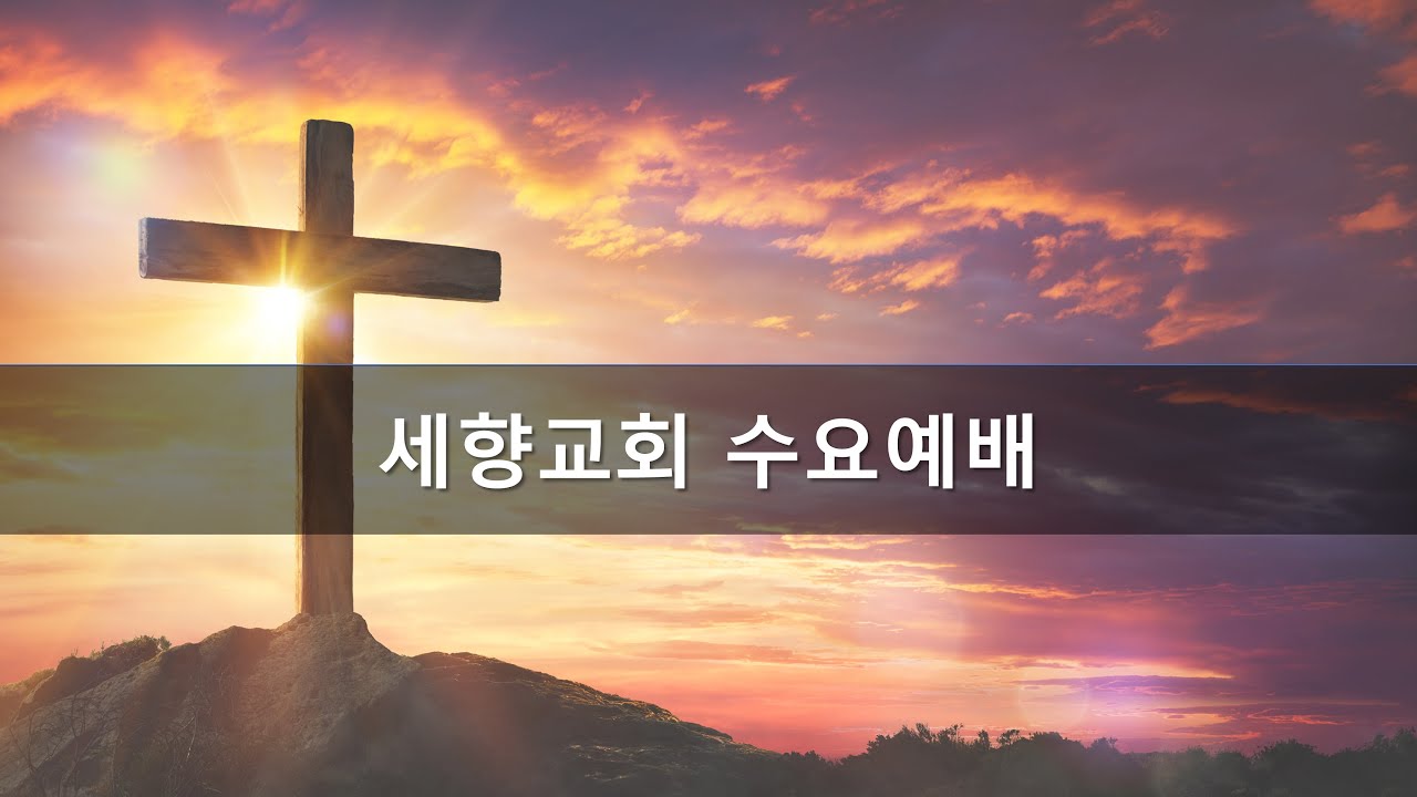 [세향교회] 2026년 1월 28일 수요예배
