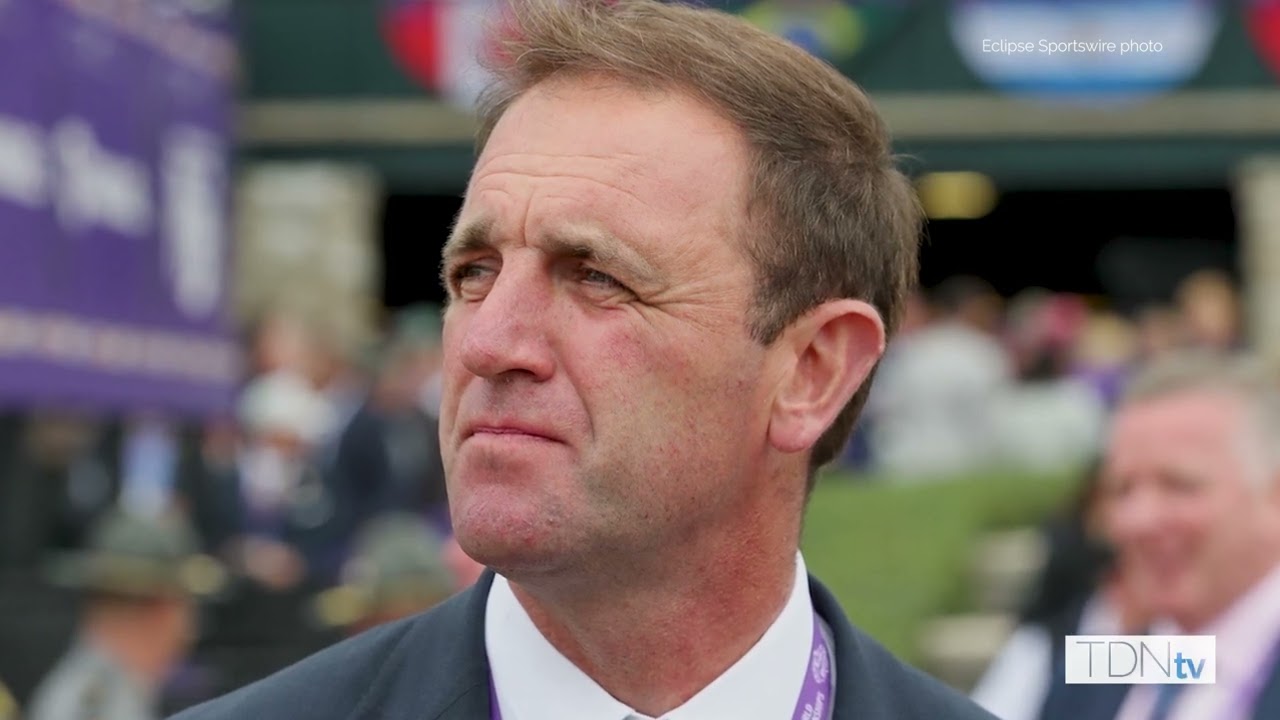 International Group One Winner Modern Games New To Darley