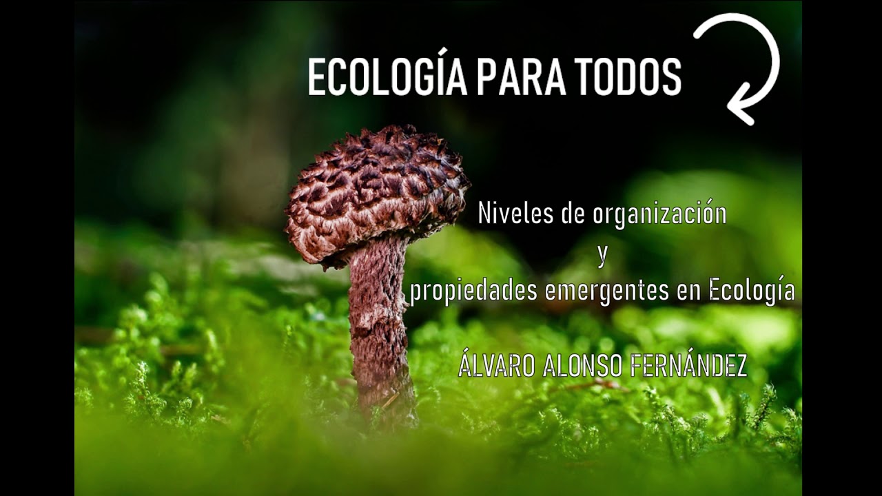 Ecología para todos 2: Niveles de organización y propiedades emergentes en Ecología