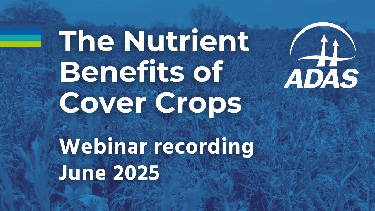 ADAS webinar recording 'The Nutrient Benefits of Cover Crops' - 23 June 2025