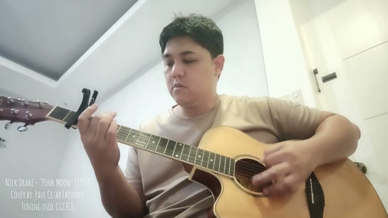 Pink Moon - Nick Drake Cover