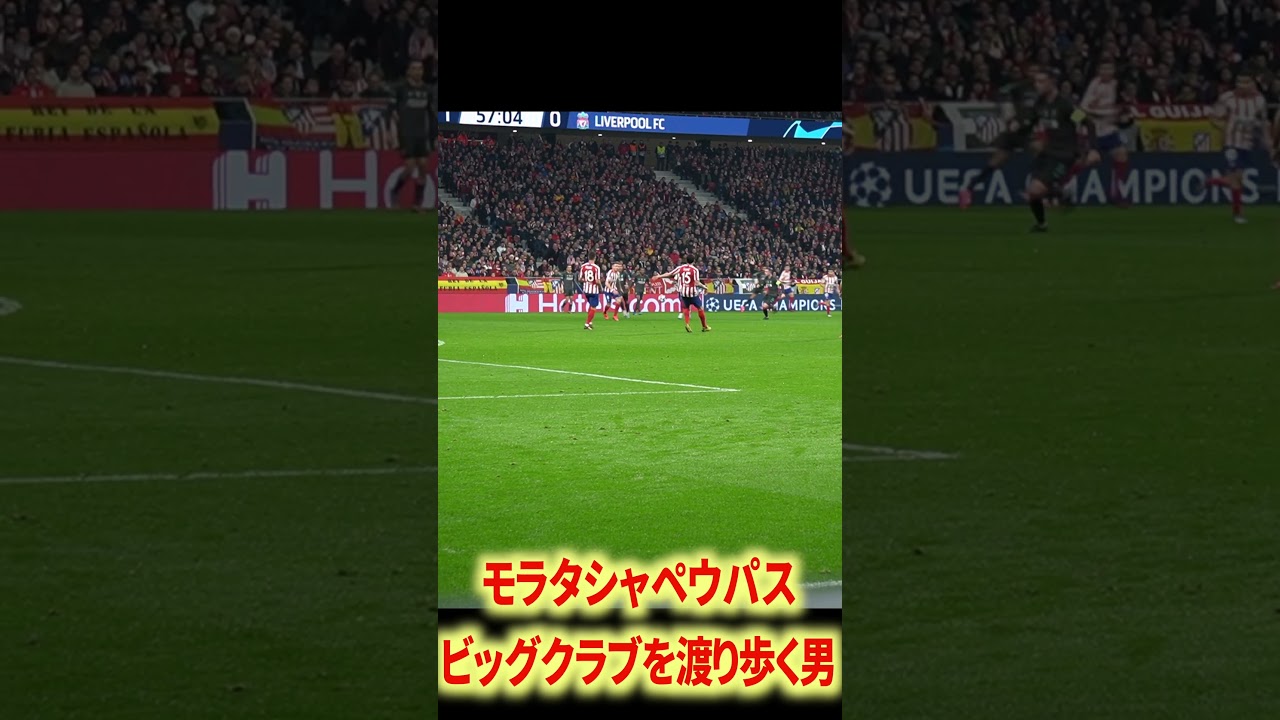 モラタシャペウパス