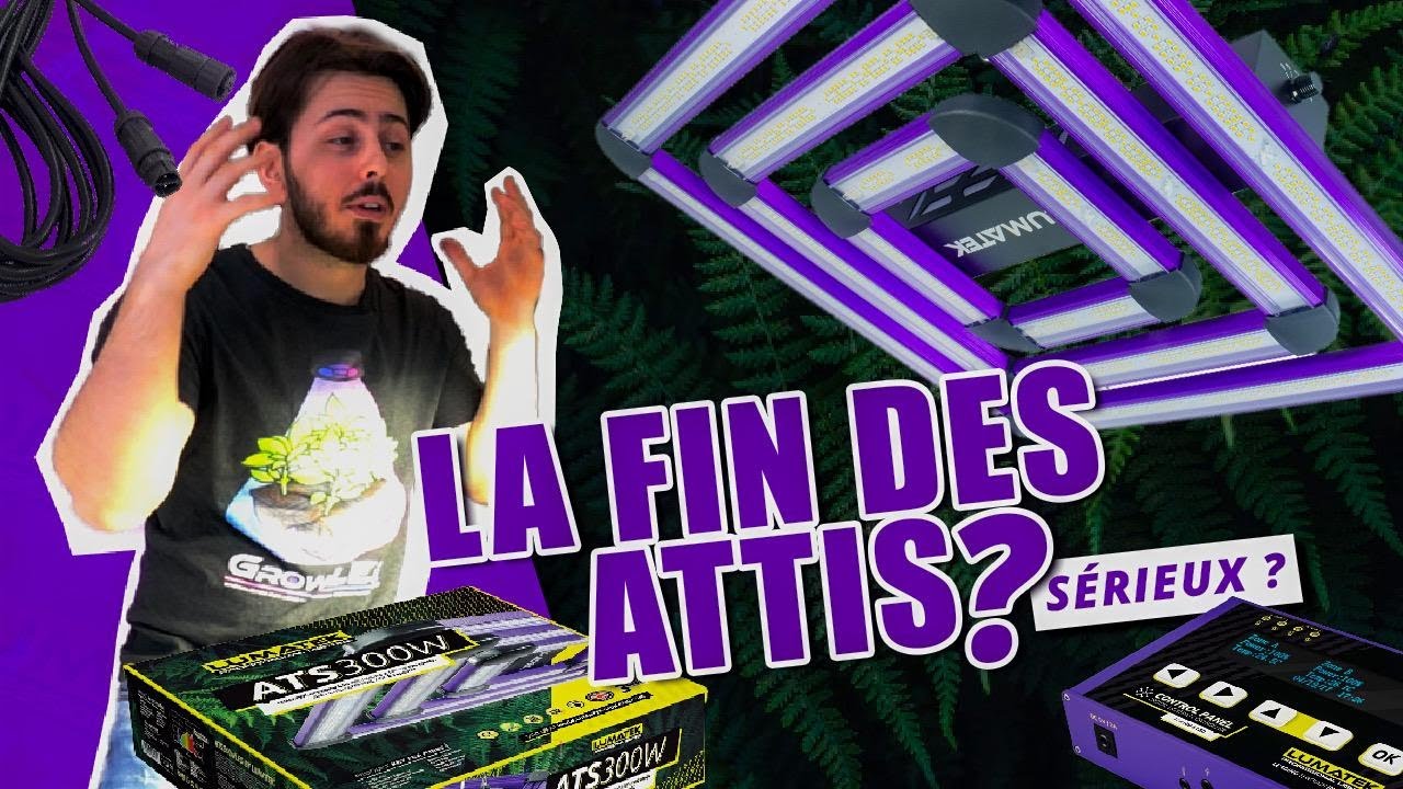 La fin des Attis ? On vous dit tout ! &Eacute;clairage LED Lumatek pour la croissance floraison des plantes